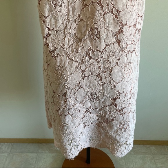BCBGMaxAzria Diane Lace Mini Dress Pastel Pink Oversized With Slip Size Medium - Picture 12 of 16